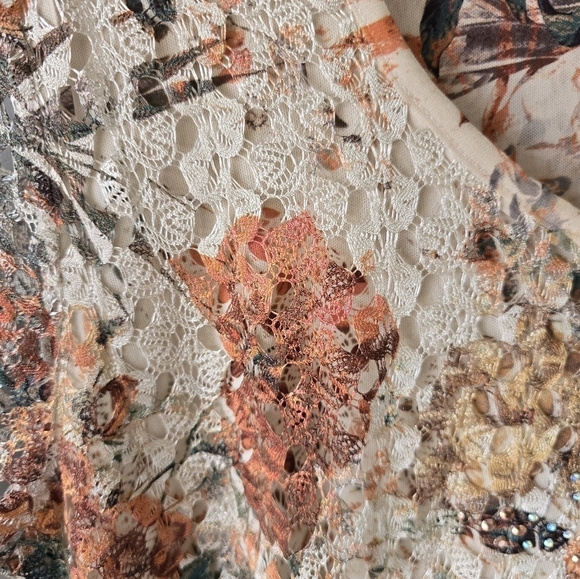 Frazzle Sheer Lace Blouse Womens Sz L Studed Lined High Low Coastal Y2k … - Picture 10 of 15